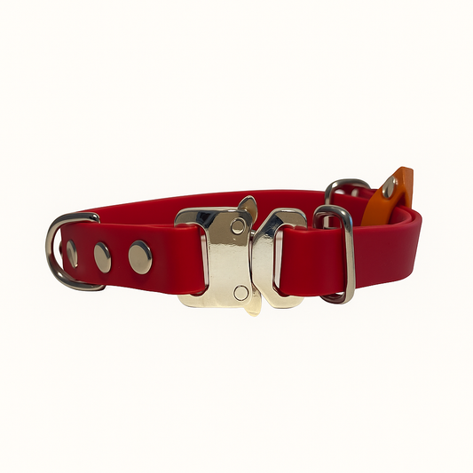 Collier à clip