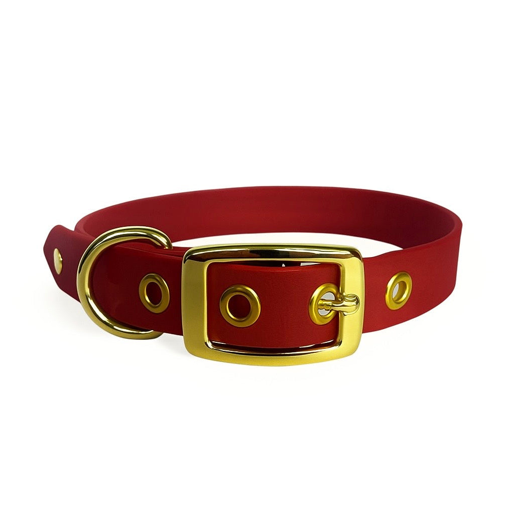Collier classique en biothane - Rouge Carmin