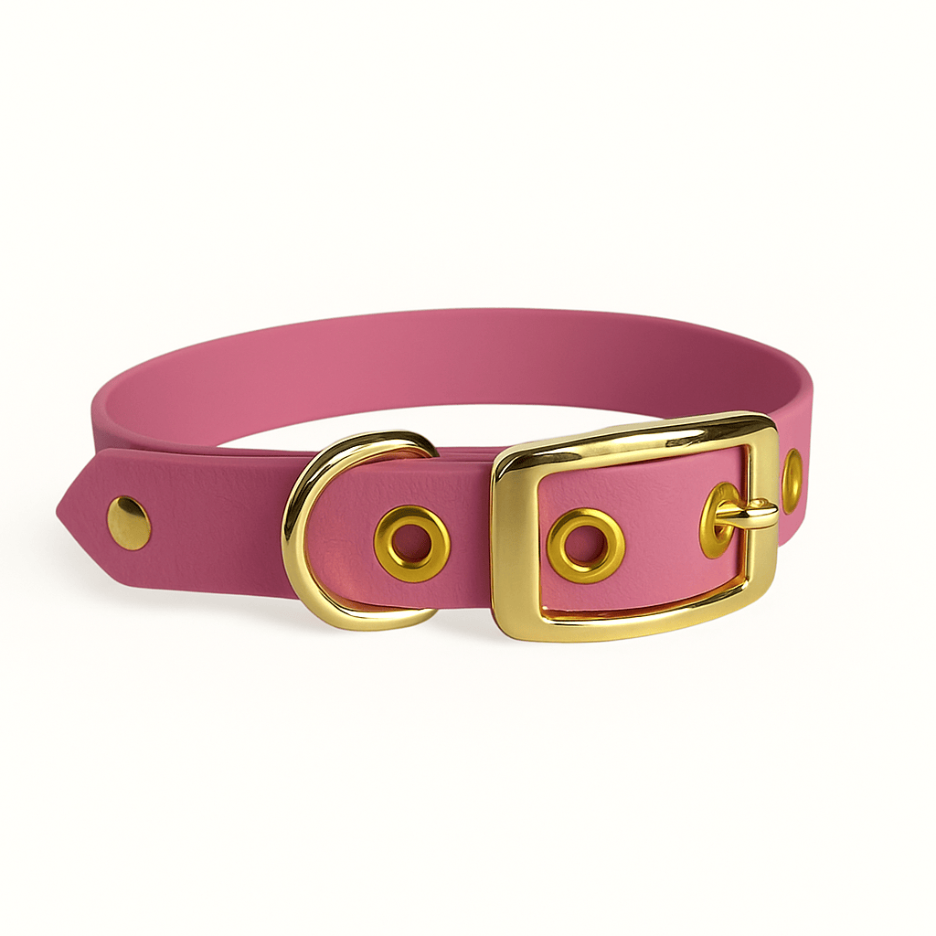 Collier classique en biothane - Rose Lavande - GRIS LOUP