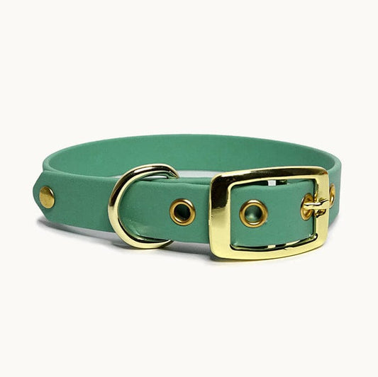 Collier classique en biothane - Turquoise - GRIS LOUP