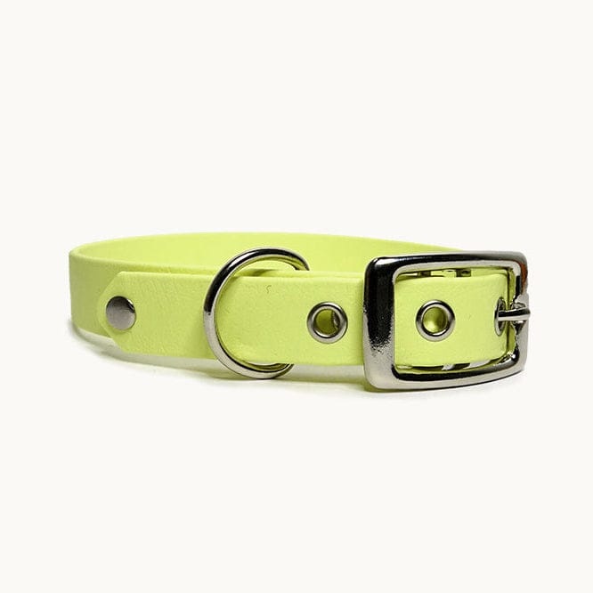 Collier classique en biothane - Topaze - GRIS LOUP