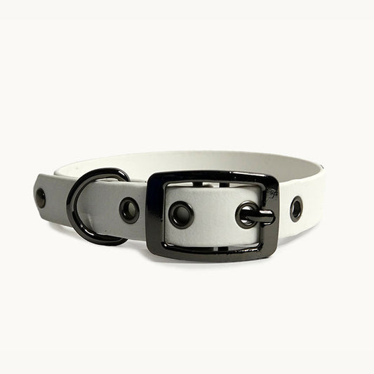 Collier classique en biothane - Blanc
