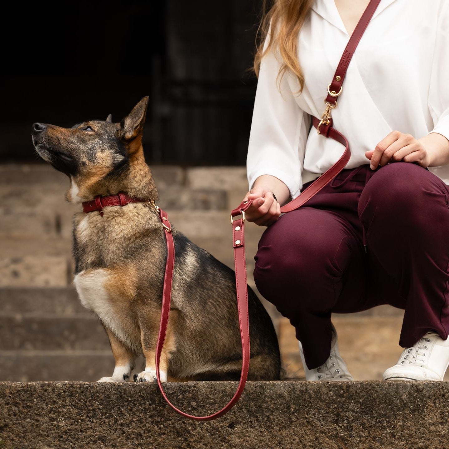 Laisse multi-positions | Merlot - GRIS LOUP