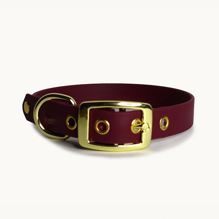 Collier classique en biothane - Merlot - GRIS LOUP