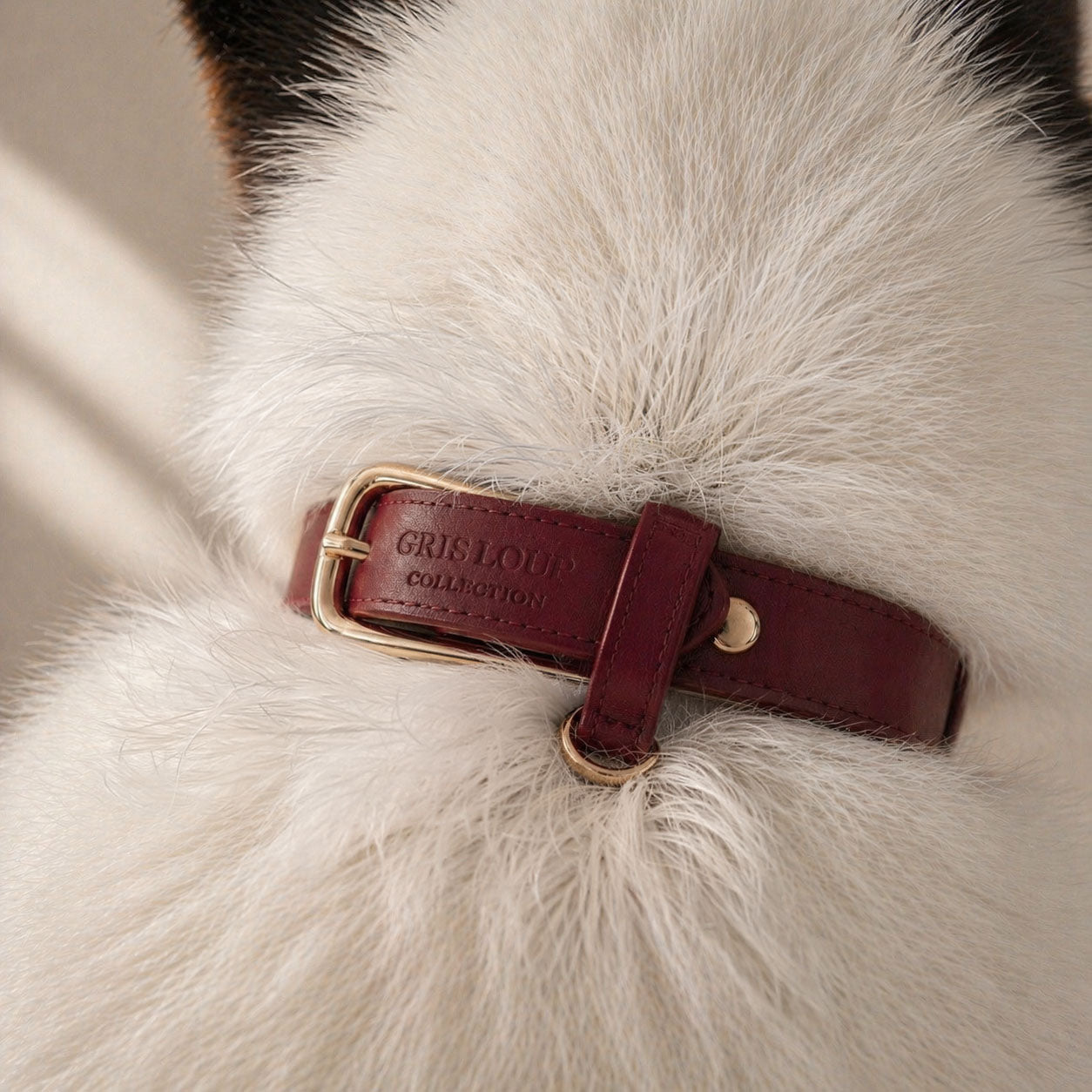 Collier classique | Merlot - GRIS LOUP