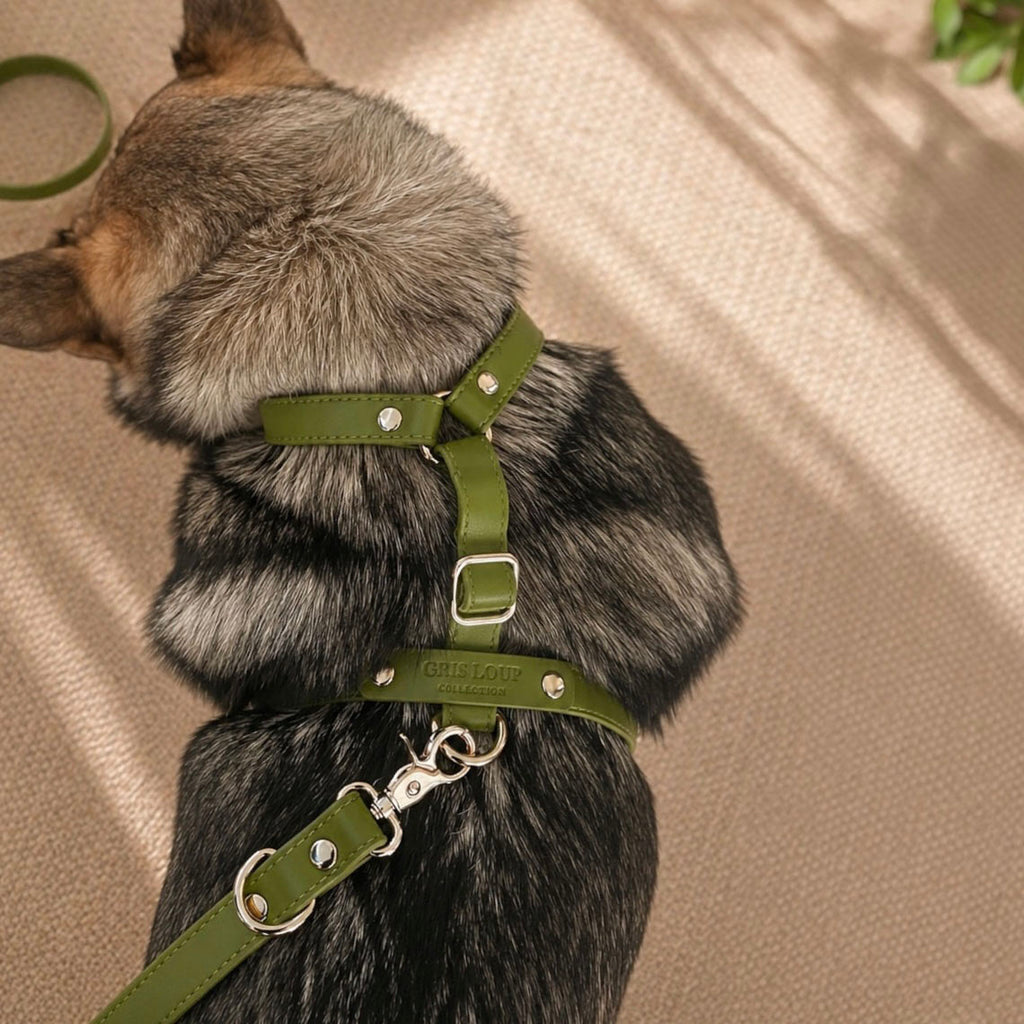 Harnais en Y | Olive - GRIS LOUP