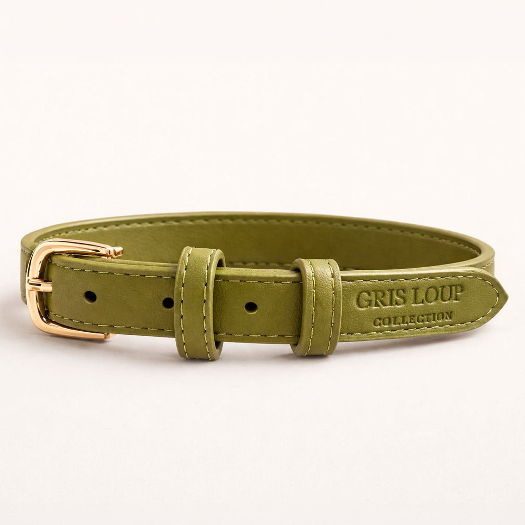 Collier chien olive