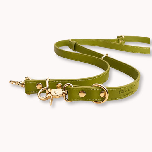Laisse multi-positions | Olive