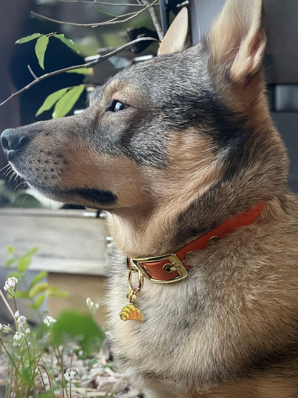 Médaille "Croissant" - GRIS LOUP