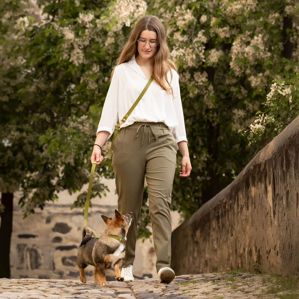 Laisse multi-positions | Olive - GRIS LOUP