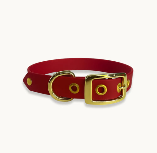 Collier classique en biothane - Rouge Carmin - GRIS LOUP