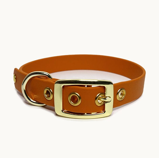 Collier classique en biothane - Tangerine - GRIS LOUP