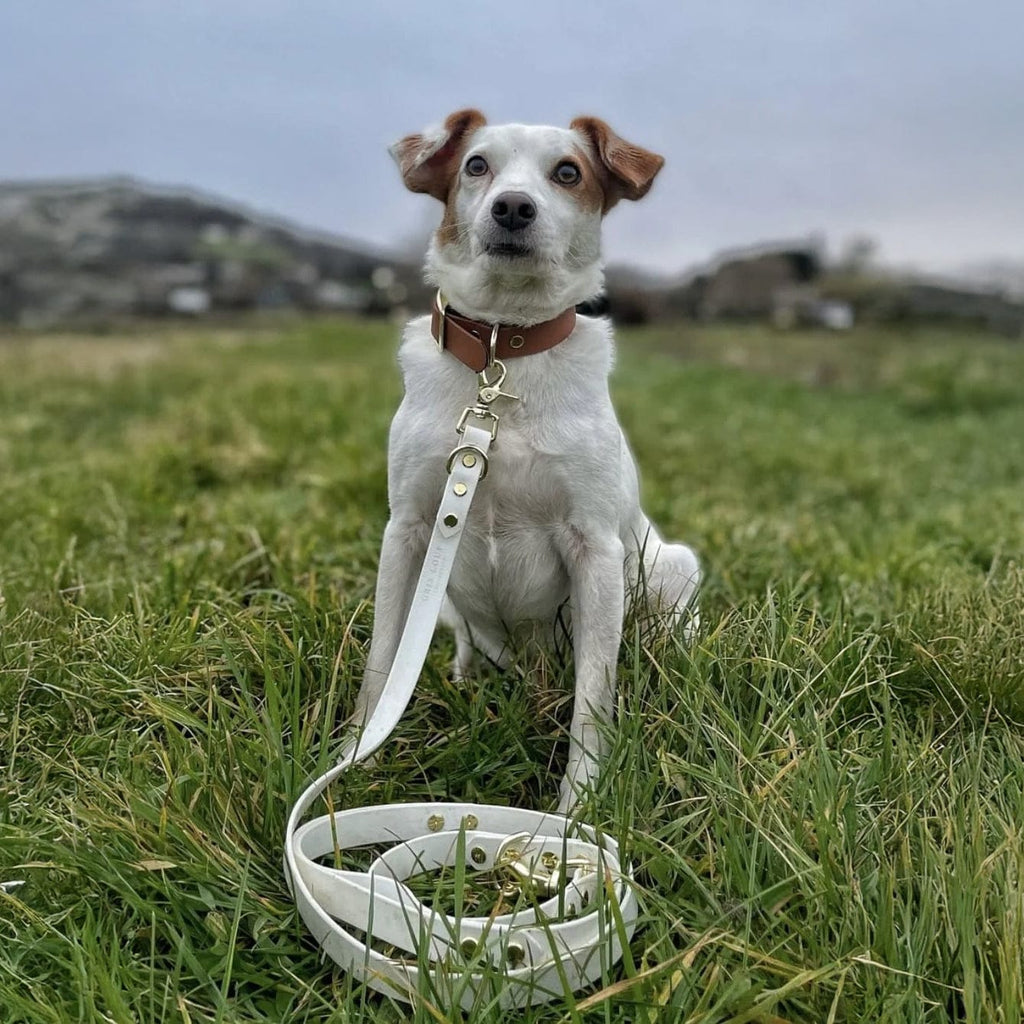 Laisse de ville - GRIS LOUP