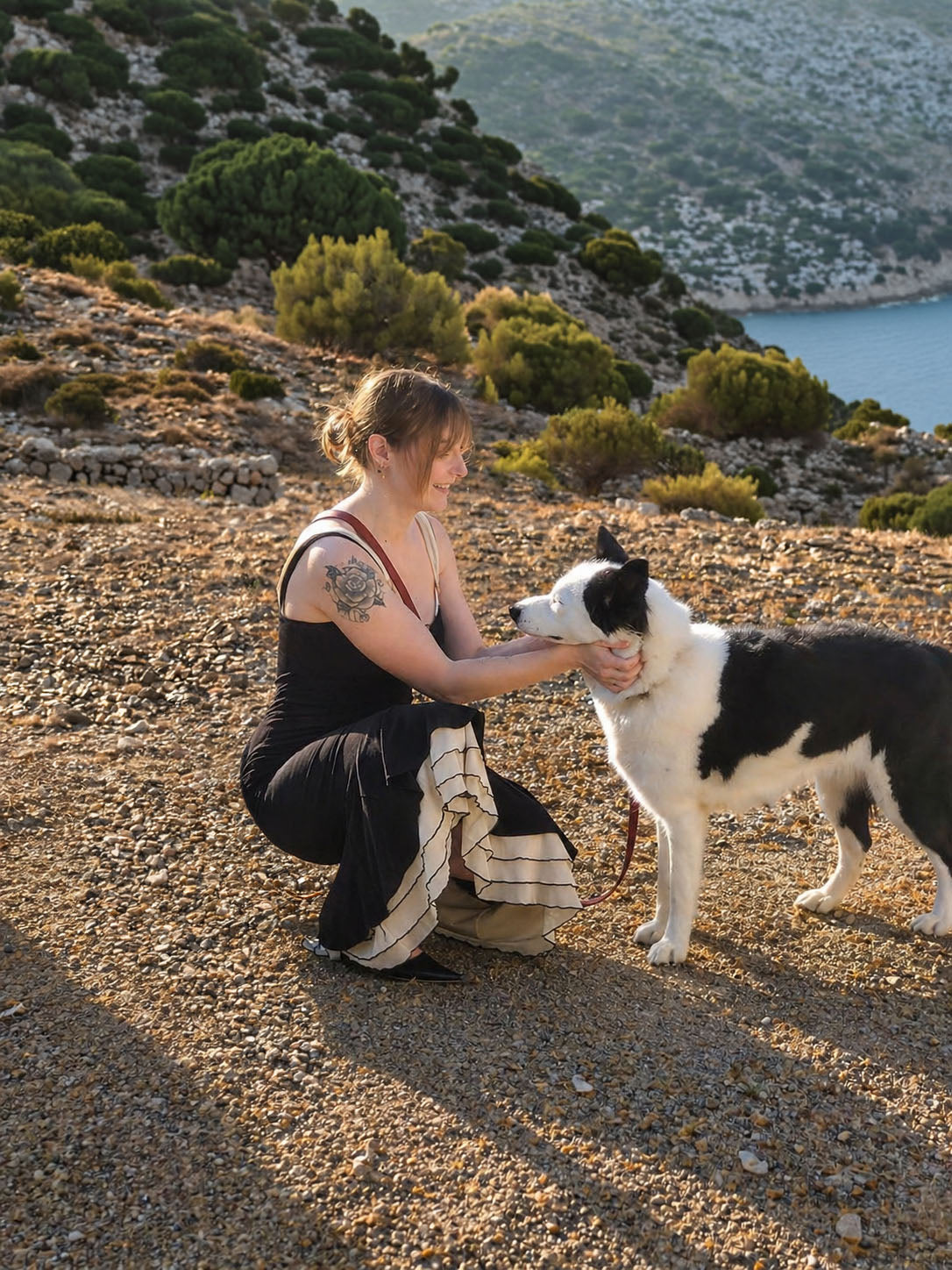 Un chien partage un moment de complicité avec son humain